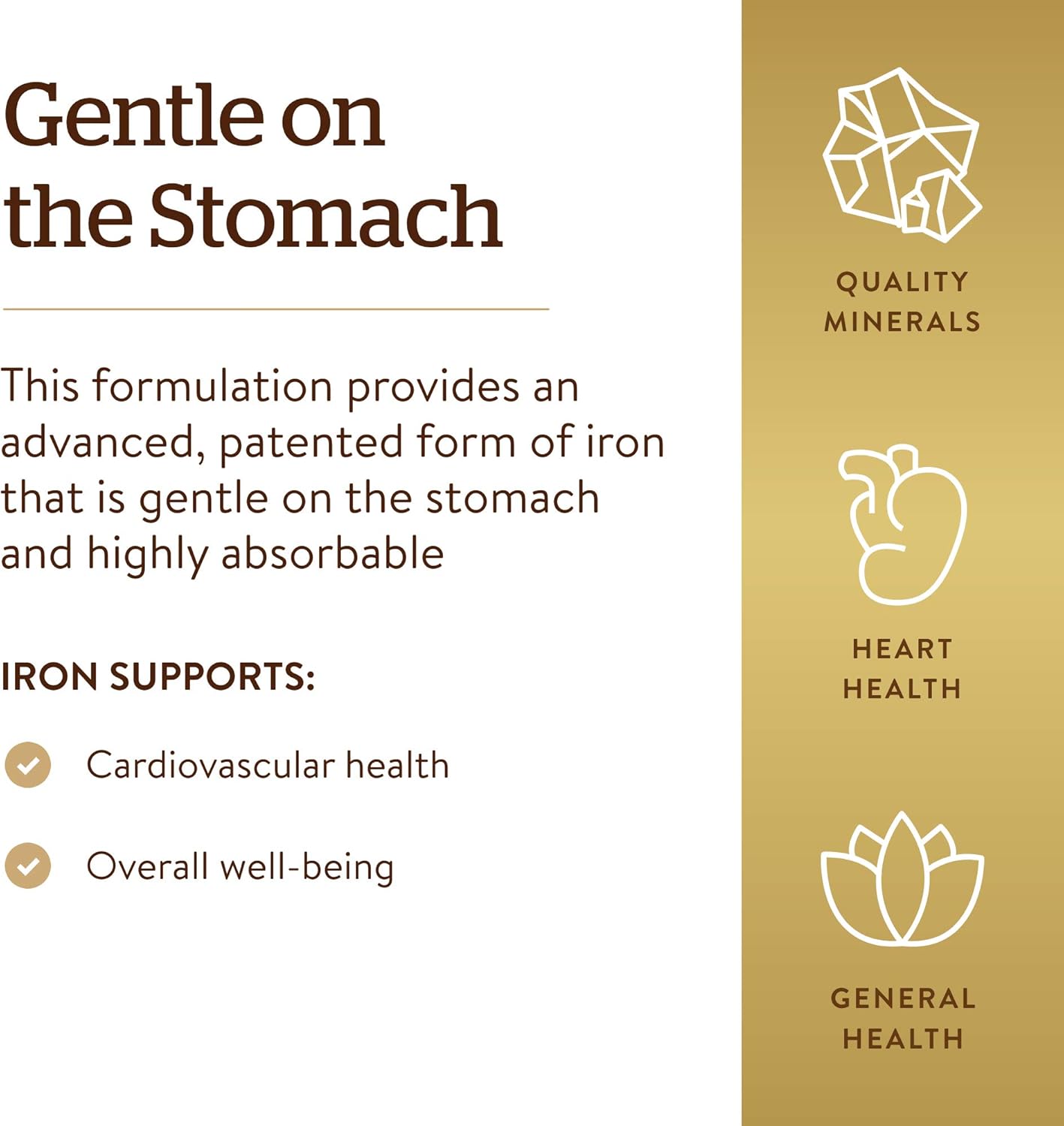 Solgar Chelated Iron, 100 Tablets - Highly Absorbable Iron - Gentle on Your Stomach
