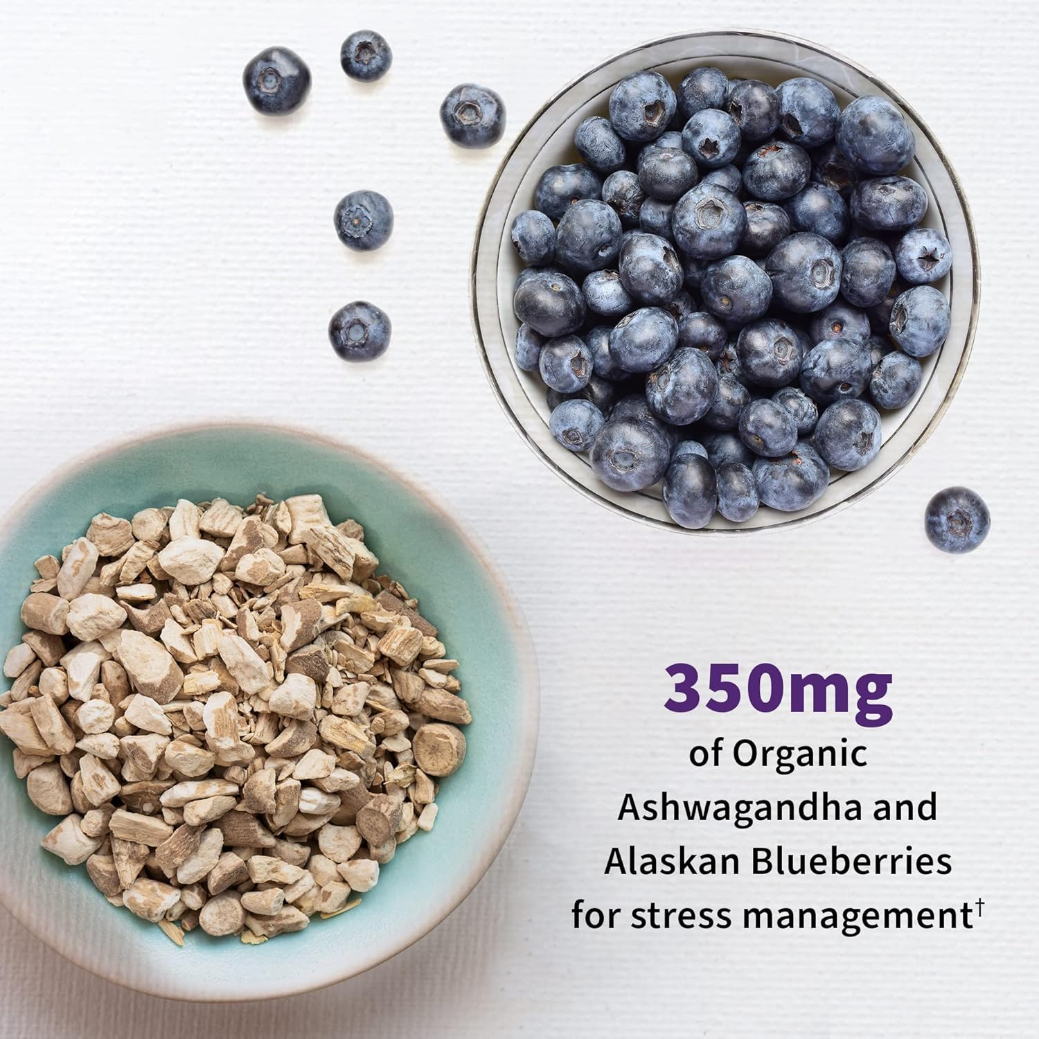 Garden of Life Probiotics Mood+ Dr Formulated Acidophilus Probiotic Supplement