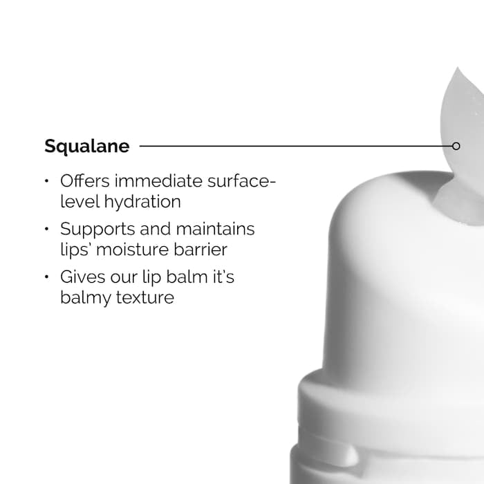 The Ordinary 
Squalane + Amino Acids Hydrating Lip Balm