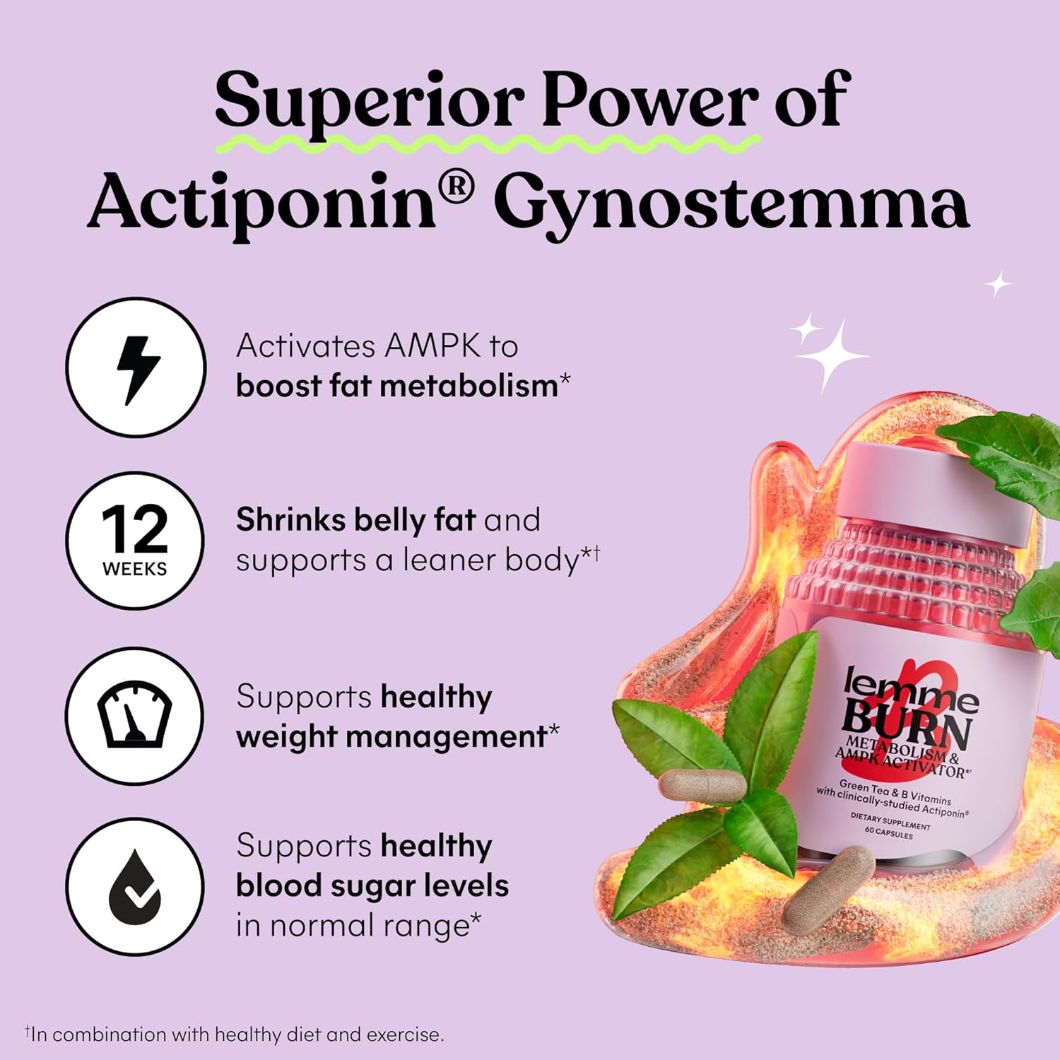Lemme Burn - Metabolism, Belly Fat Burning + AMPK Activating Supplement